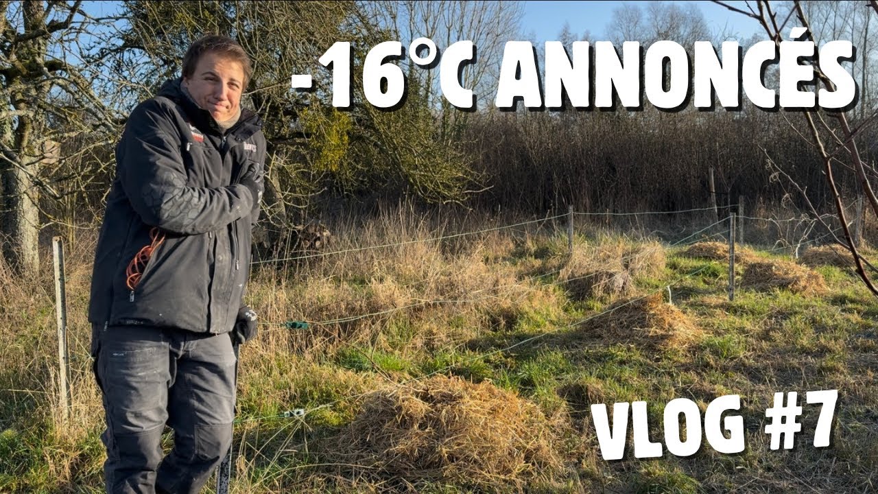 On prépare le jardin pour l’hiver ! - EP7