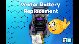 Vector Battery Replacement