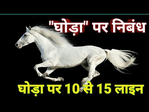 essay about horse race in hindi