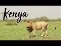 Amazing Kenya Safari - Masai Mara, Lake Nakuru National Park and Lake Naivasha | 2018