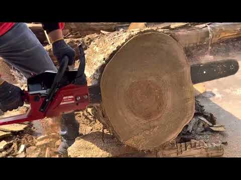 high speed chain saw 56cc with 24 inch bar