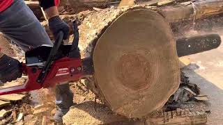 High Speed Chain Saw 56Cc With 24 Inch Bar