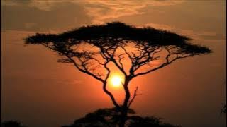 C.9ine Feat.Joao Orechia - Wonder (House Victimz Afro Mix)