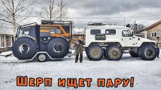 Шерп МАКС ищет пару. Вступление.