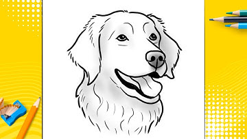 How To Draw A Dog - Golden Retriever-Step by Step