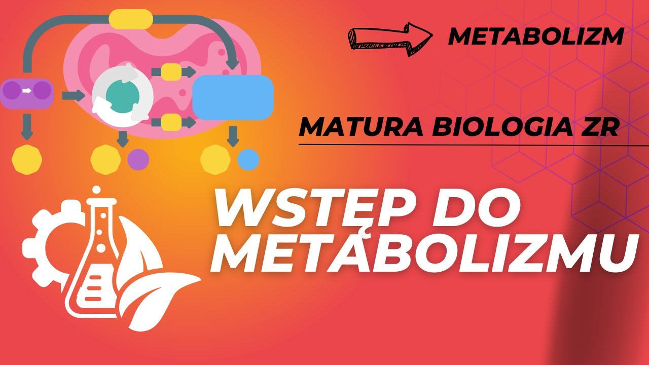 Metabolizm Gr B Sprawdzian Biologia Na Czasie 2 Wstęp do metabolizmu. MATURA BIOLOGIA ZR - YouTube