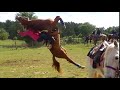 horse flip (in reverse!!!)