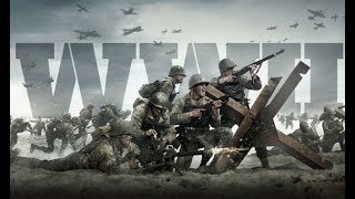 A Brotherhood of Heroes. (CoD WW2 Cover)