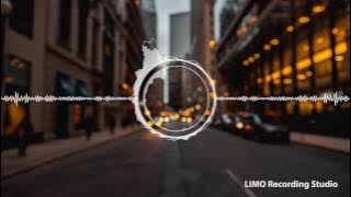 Never Walk Alone (Skyldeberg Remix) (Instrumental Version) - Sture Zetterberg