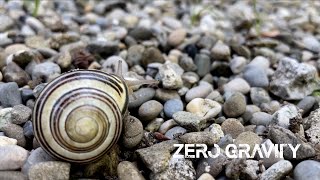 Zero Gravity   Dennis Graumann (Official Video)