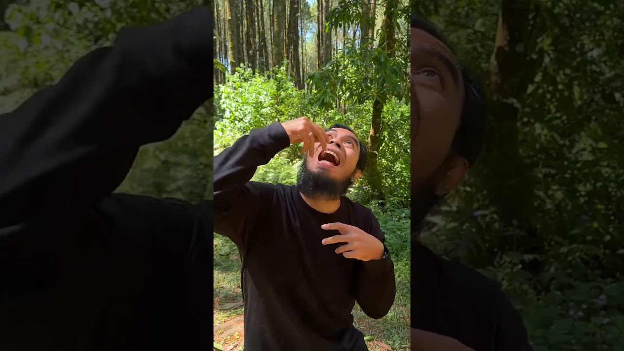 Monkey Delivery? 🐒 