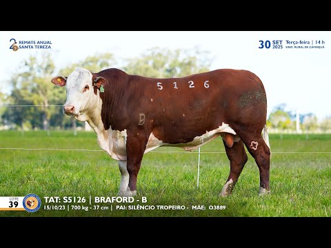 LOTE 39 TAT TES5126 BRAFORD Est  Sta Tereza