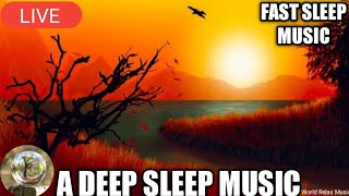Deep Sleep Music Calming Music Study Relief Sounds Meditation, Yoga, Zen, Spa Music