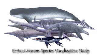 Extinct MarineSpecies Vocalization Study