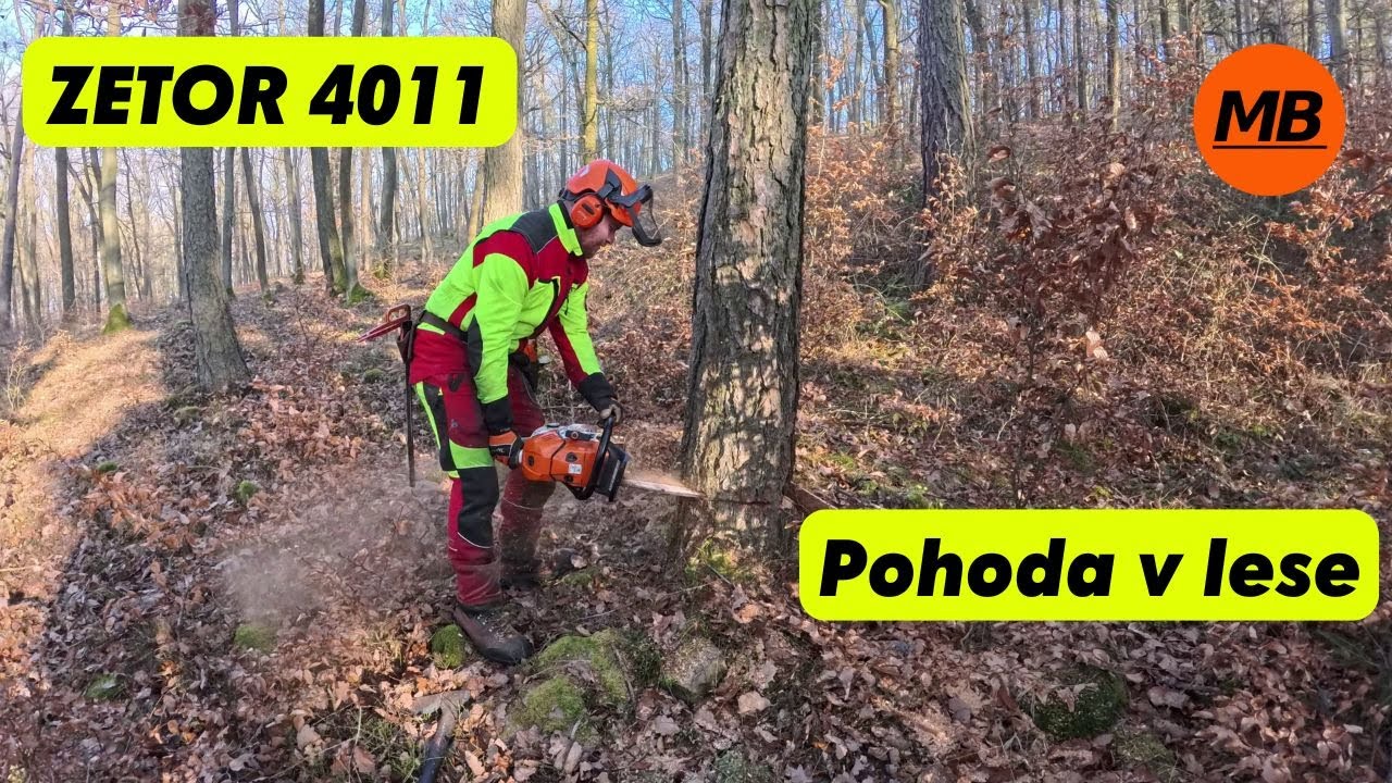 ZETOR 4011 - STIHL MS 500i - Modřínové kůly a pohoda v lese