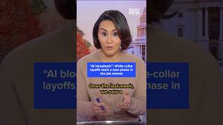 'AI bloodbath': White-collar layoffs mark a new phase in the job market