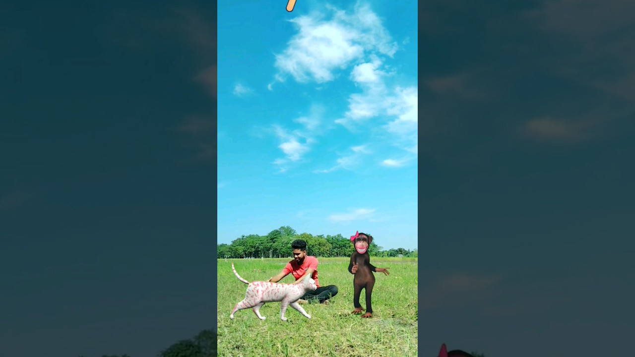 Monkey dance & icecream eating vairal new animation -Subrata vfx