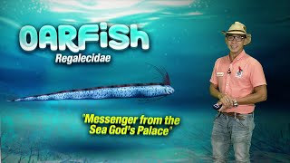 Isang Higanteng Oarfish, Nakita Sa Agusan Del Norte Kaunting Kaalaman