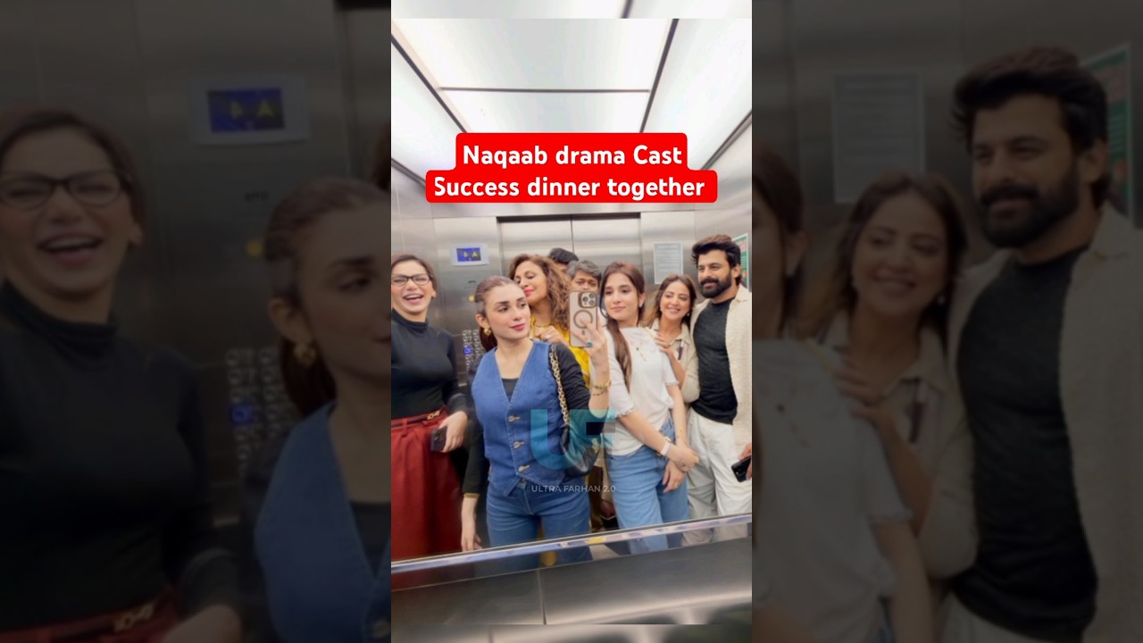 Naqaab drama Cast Success dinner and outing together 