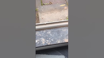 The Reveal Before an After Build Clean Preston #cleaning #cleaningmotivation