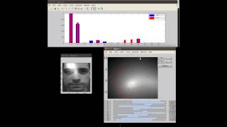Manifold relevance determination (MRD) for understanding real faces.