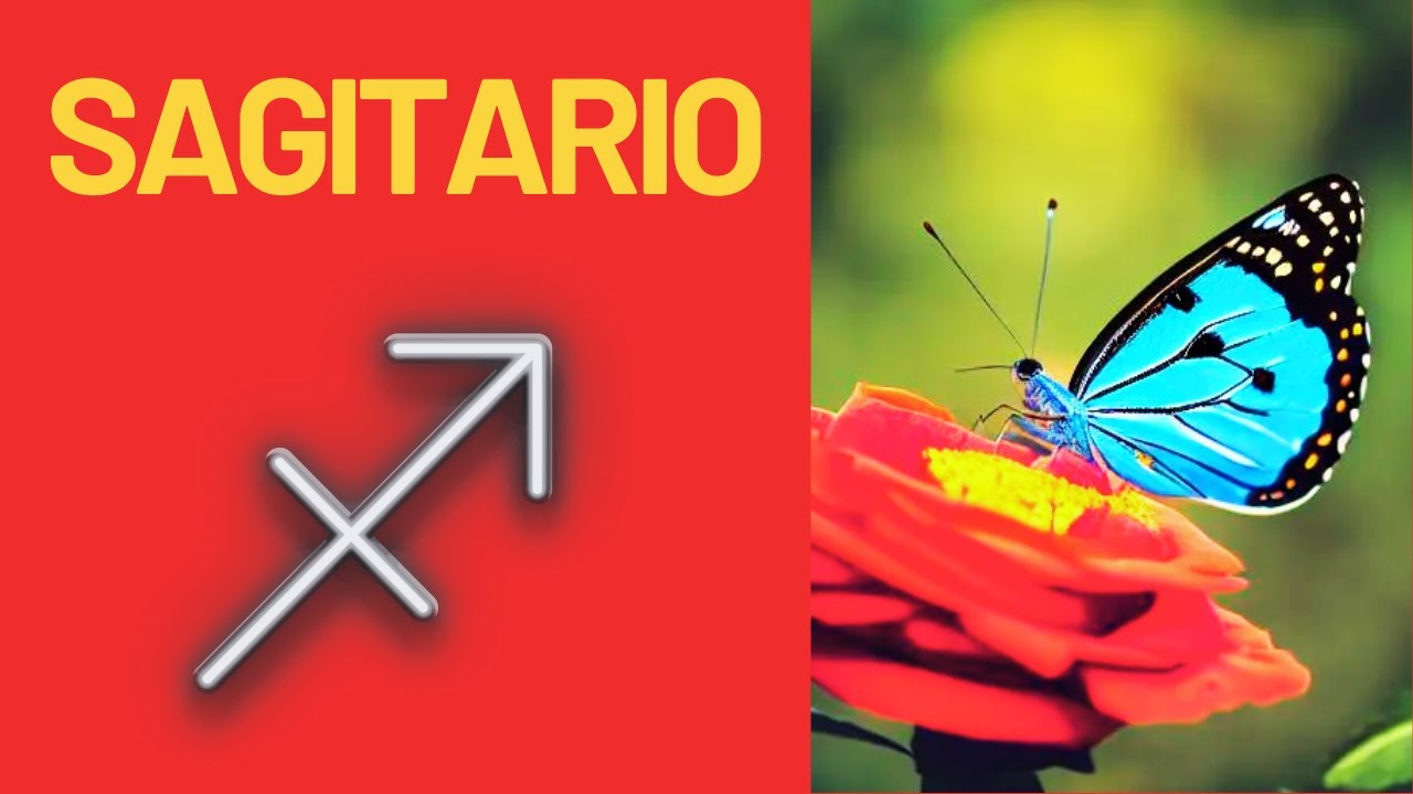 FELICIDADES SAGITARIO ♐ TU VIDA DARA UN CAMBIO DRASTICO 🫦🚶‍♀️🌍💫🔮🦋😱 ...