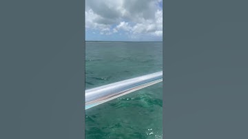 I’m too lazy to put hashtags here