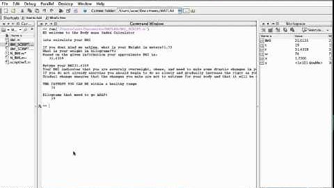 MATLAB2012-BMIindex.mp4
