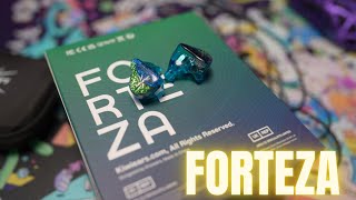 Kiwi Ears Forteza Review & My Top IEM Picks of 2023 through $350