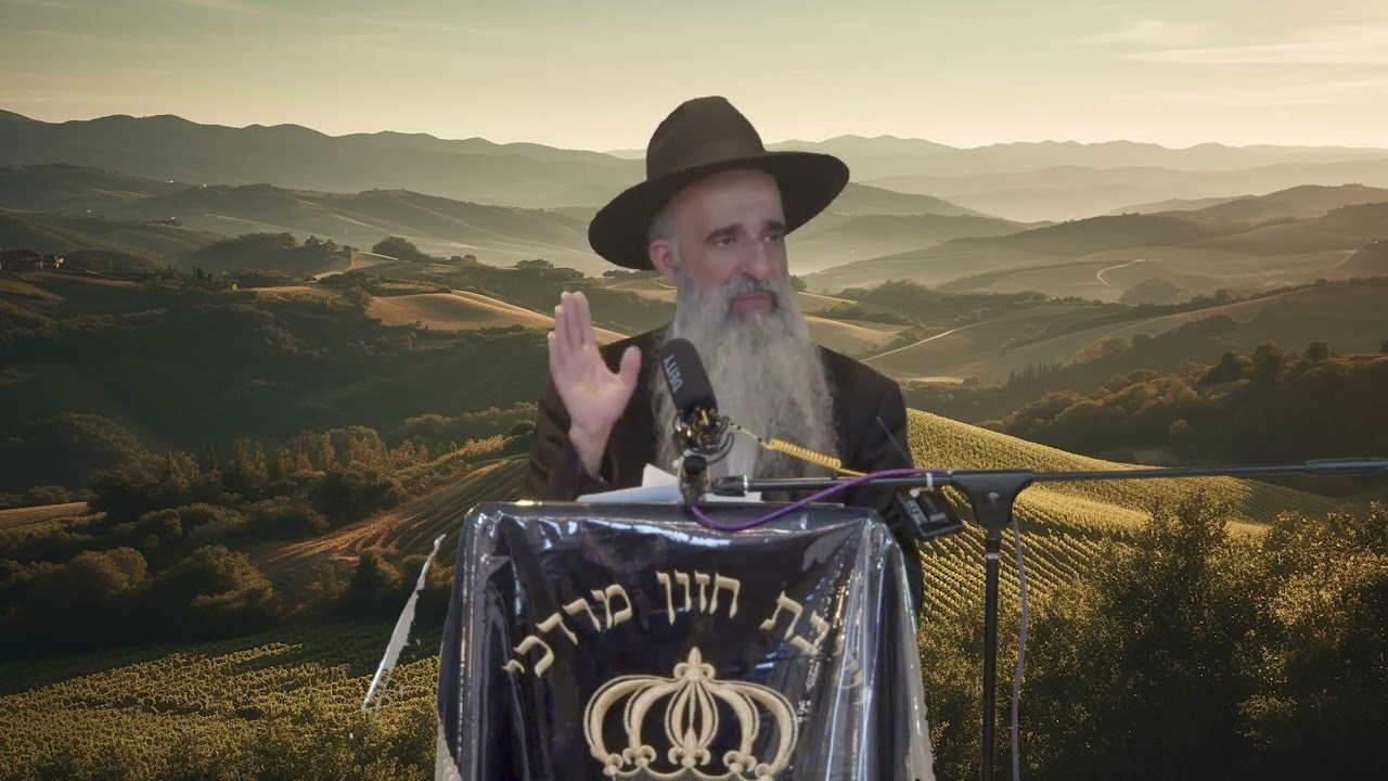 הרב מאיר דוד שמואלי - חלק מהמלחמה בגלל בין אדם לחבירו