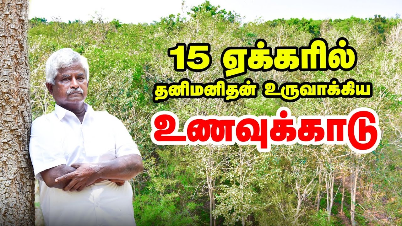 வணிக மரங்களுக்கு நடுவே பழ மரங்கள் | Plot போடுவதற்காக வாங்கிய நிலத்தில் 10,000 மரங்கள் | தமிழ்ப்பண்ணை