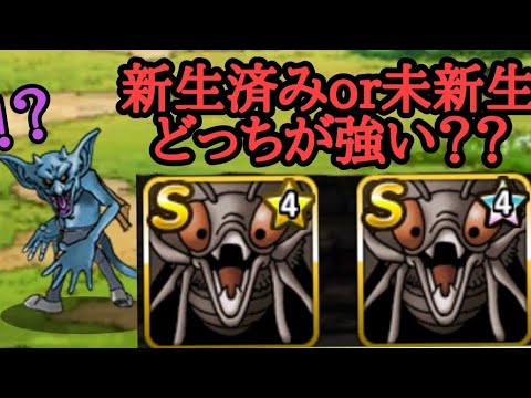 Dqmsl デビルパピヨン 右と左強いのはどっちだろう マスターズgp Youtube