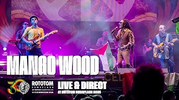 MANGO WOOD live @ Rototom Sunsplash Lion Stage 2025