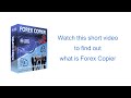 My Free Forex Trade Copier Service Has Launched! Copy Me & Make 10-15% A Month!