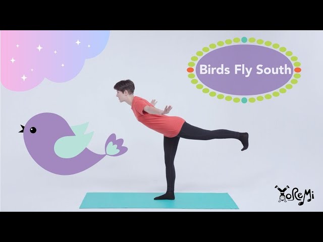 Bird of Paradise Pose