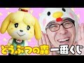 【しずえさんと開封するよ♪】どうぶつの森一番くじ、10連してみた！！！