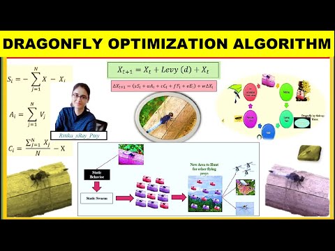 Learn Dragonfly Optimization Algorithm Step-by-Step with Example🌞🌞🌿 ~xRay Pixy