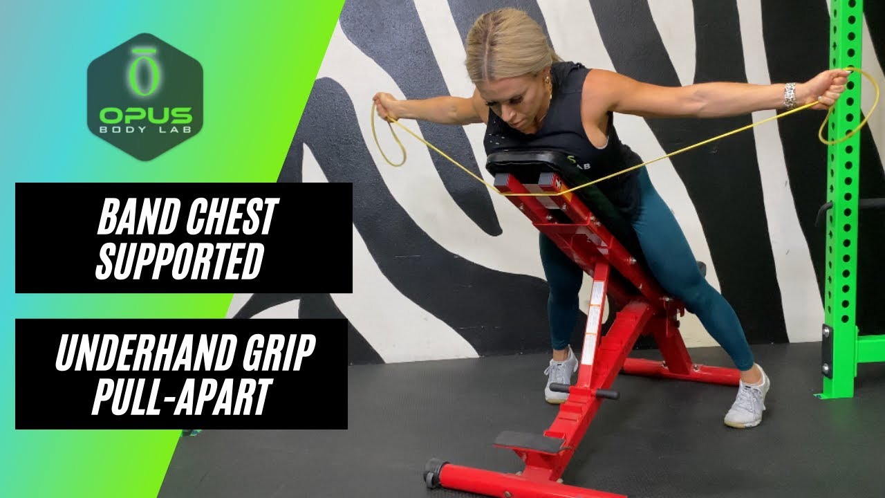 Band Chest Supported Underhand Grip PullApart YouTube