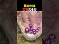 巨大貝の中は宝石だらけ