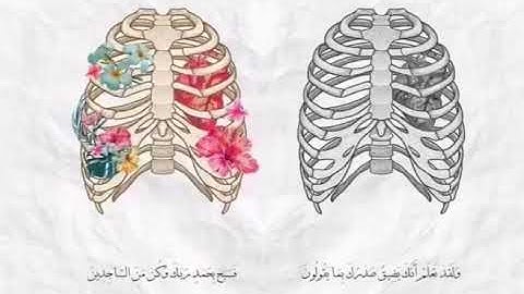 آيات قصيرة من القرآن تريح النفس/ حالات واتس اب