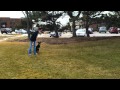 Dog Training, Puppy Training St. Cloud MN, Brainerd MN Dog Training, Puppy Training St. Cloud MN, Brainerd MN