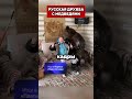 РУССКИЙ И МЕДВЕДЬ. МЫ НИКОГО НЕ БОИМСЯ #юмор
