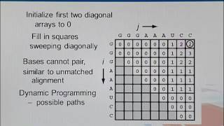 Topic 181 (BIF733 - Bioinformatics I (Essentials of Genome Informatics))