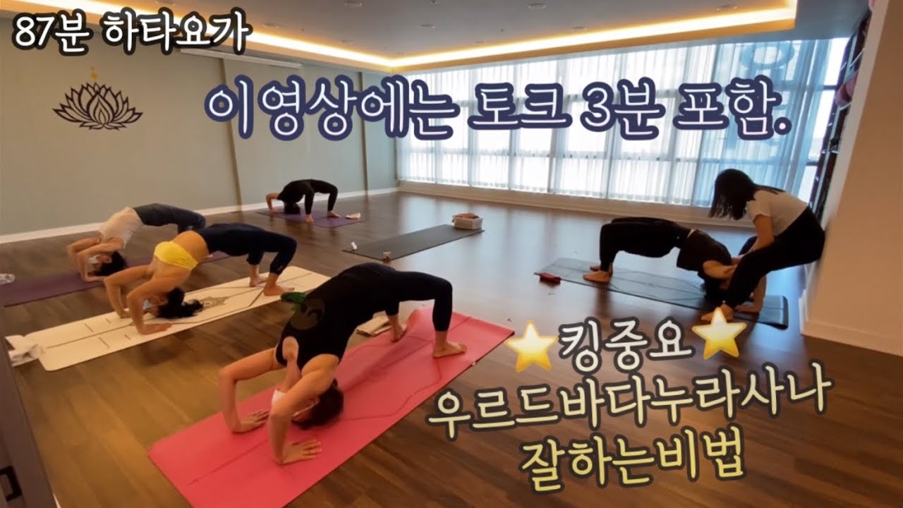 [엔젤요가] ⭐️킹중요⭐️우르드바다누라사나 | 잘하는 비법 | 이영상에는 토크가 3분 포함