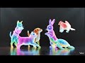 3D Hologram video cute animals