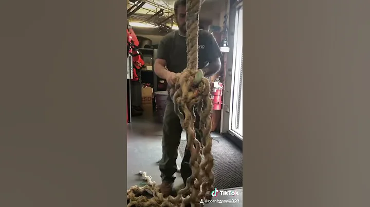 Towboat making a bumper