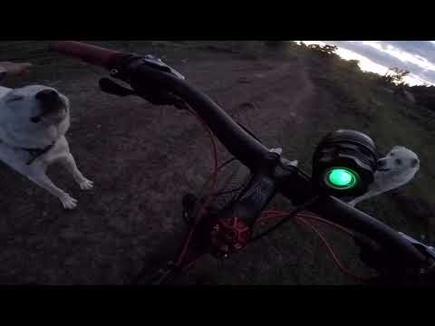 dabadzveli / დაბაძველი