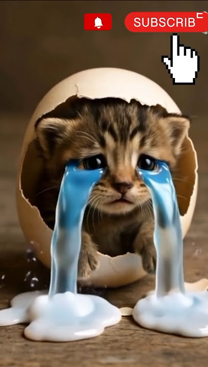 #viral #viralvideohttps://youtube.com/shorts/O65Bh9e4iPw?si=CplakH0cutPFbMZC