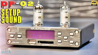 NFJ & FX AUDIO DP-02 Tube Preamp Dac 4K FXAUDIO(FNS)