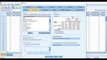 How to format tables in APA style on SPSS